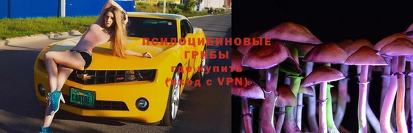 круглые Арсеньев
