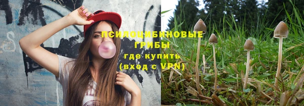 ешки Сафоново